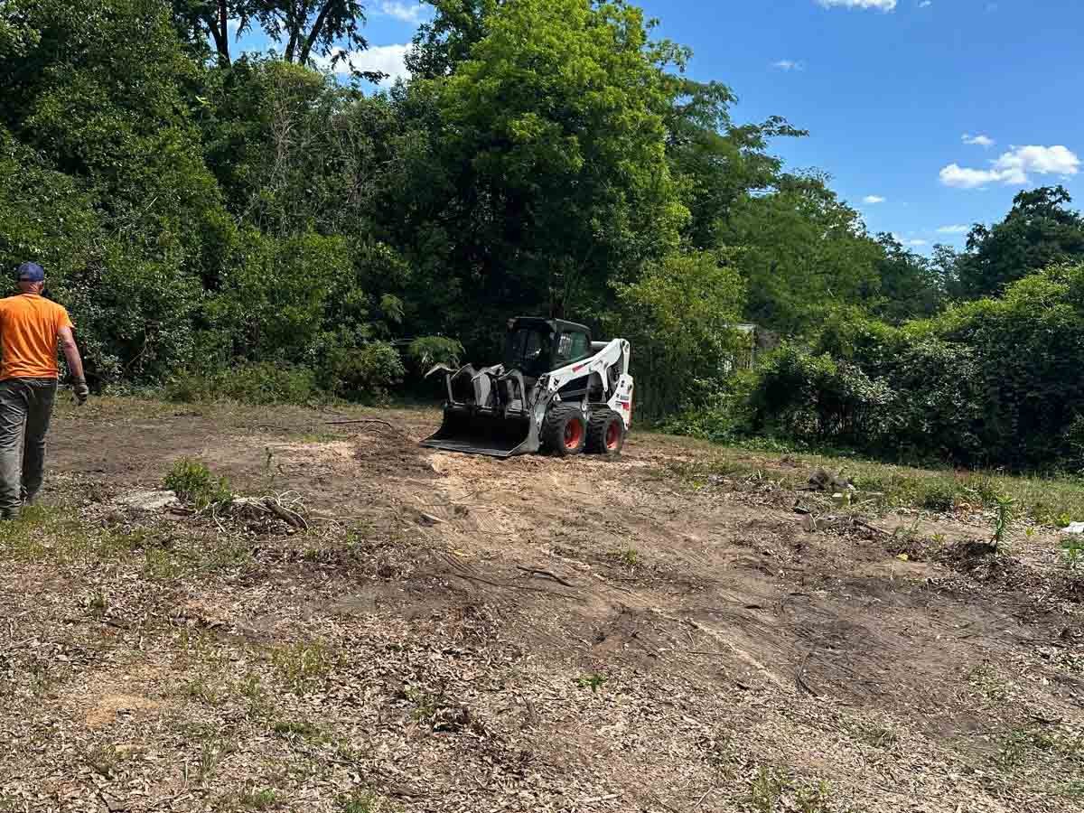 El Costeño Tree Service LLC